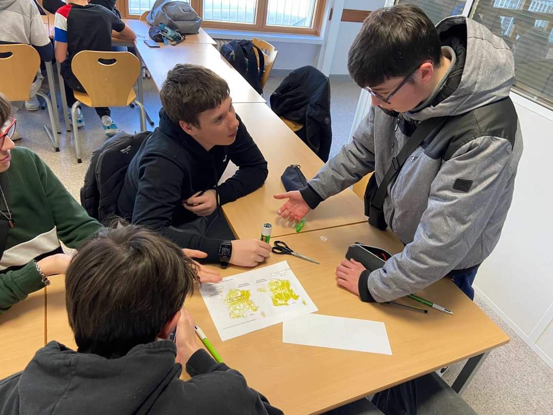 Les lycéens de seconde pro Alimentation Bioindustrie ont commencé à travailler sur le thème de la Forêt dans le cadre du Stage d'Education à la Santé et au Développement (ESDD). Bientôt de nouveaux arbres dans la cours de l'école ?

#enilea #enil #enilbio #poligny #jura #esdd