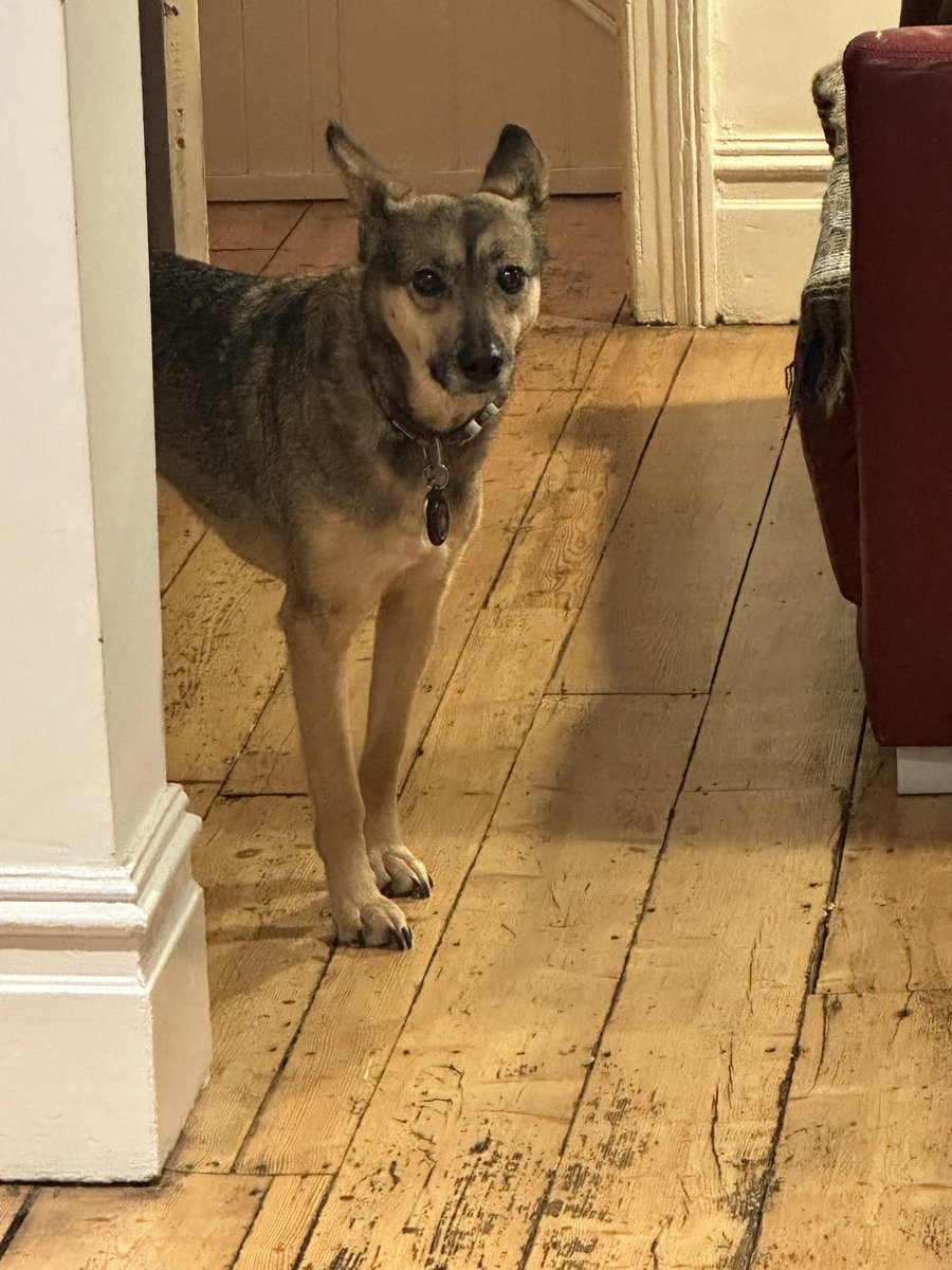 Never mind Satoshi says #sophiefromromania do I smell sausages?