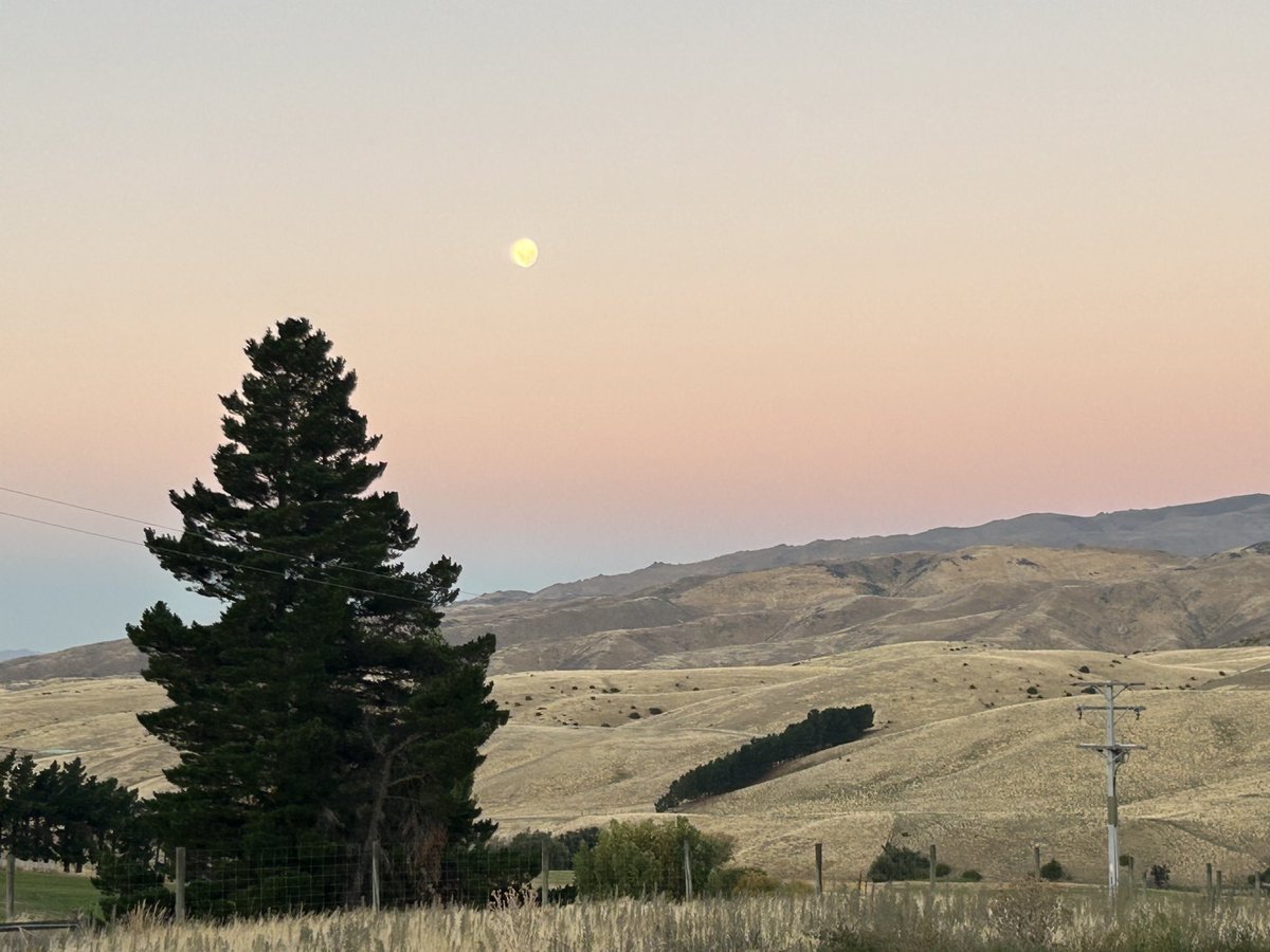 Moonrise over Bannockburn. 😍