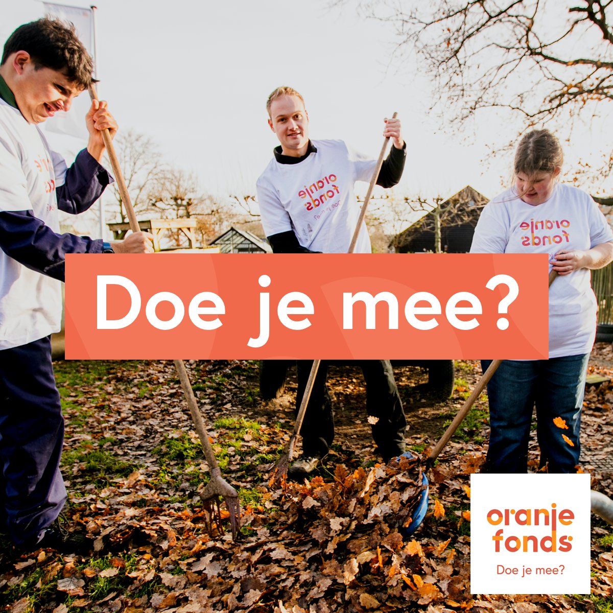 Eén dag inzetten als vrijwilliger? NLdoet bij Elver!

Dit jaar wordt NLdoet gehouden op 15 en 16 maart. Hieronder vind je meer informatie over de klusjes en kun je jezelf
aanmelden via;
🎨bit.ly/4bHXYO6
🍀bit.ly/3UOh9js
🔨bit.ly/4bM9KqU