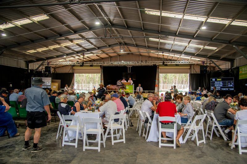 Tasracing Australia tweet media