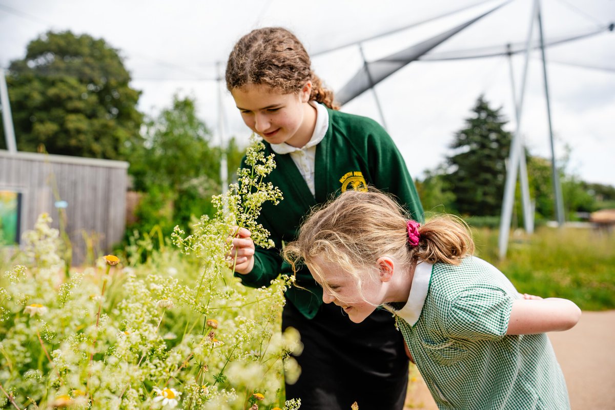WWTSlimbridge's tweet image. Wednesday win! 🙌🏆

We're delighted to announce we have been awarded the LOtC Quality Badge by @CLOtc

This recognises that we provide high quality learning experiences and are able to manage risk effectively.

@WWT_Learning_SL

📸 Clem Stevens