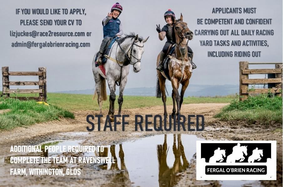 We’re looking for people to join #TeamFOB

Please share if you know anyone who might be interested