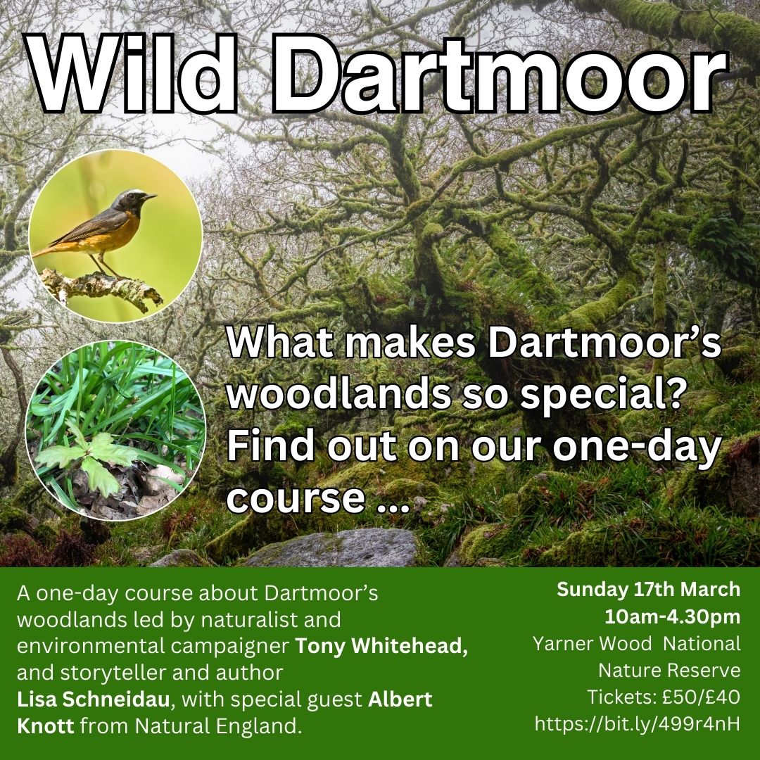 Our new one-day course on Dartmoor's woodlands ... book your place here ...  ecology, folktale, myth and legend ... with @LisaSchneidau  

tickettailor.com/events/lisasch…