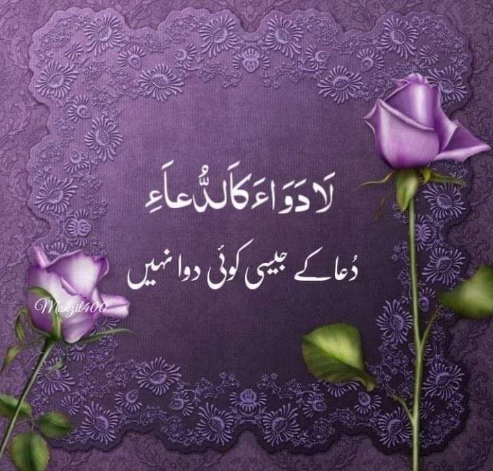 Janab e Alee 🔥 tweet media