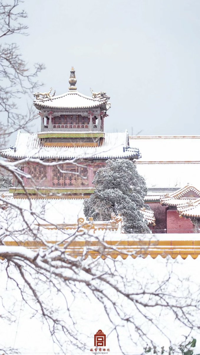 China in Pictures tweet media