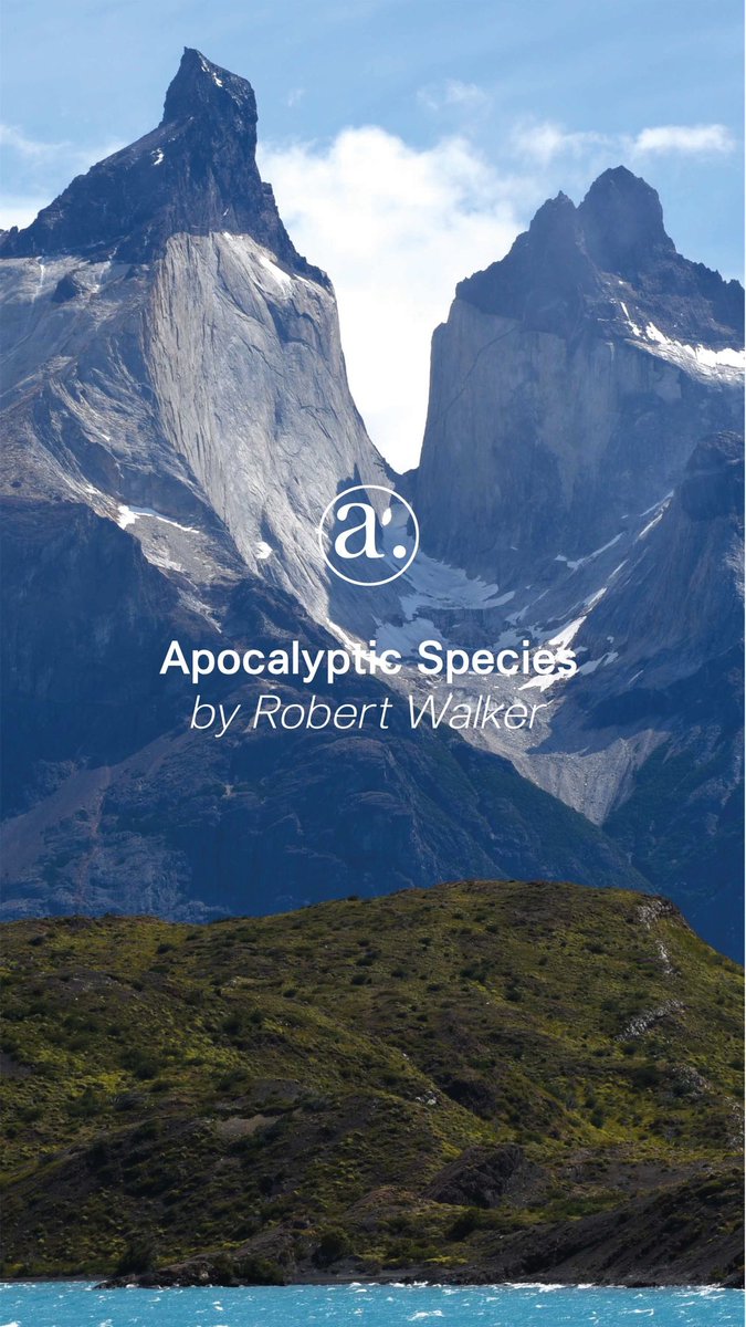 Read about Robert Walker’s experiences in Patagonian nature and his poetic reflections on what it means to put the species Homo sapiens where it belongs among the disasters capable of destroying planetary life. You find his article and photography here: anthroposphere.co.uk/post/apocalypt…
