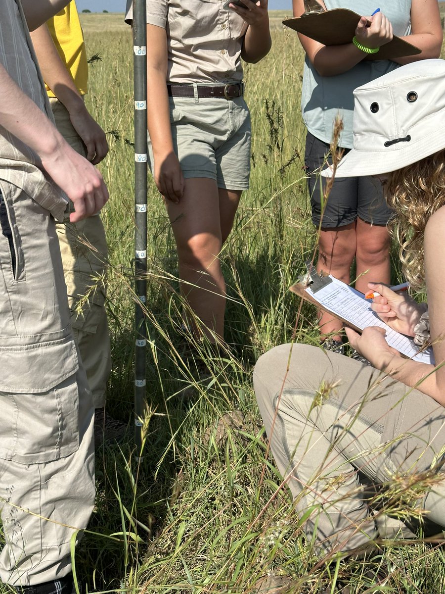 NicolaPRandall's tweet image. Starting #aardwolf research today. Camera traps &amp;amp; den site/termite mound surveys. @HarperAdamsUni @EdHarris9000 @DrElliephants @GAP__AFRICA @_Laboleyn