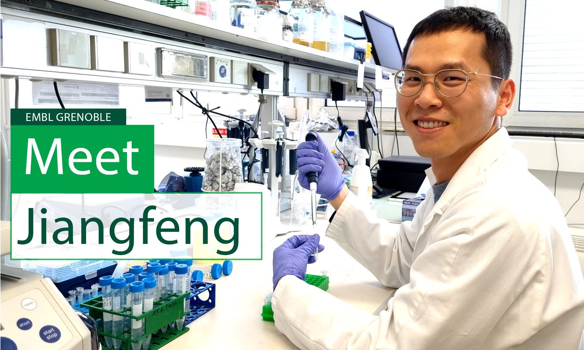 Meet Jiangfeng Zhao from China, postdoctoral fellow at EMBL Grenoble.

His research focuses on the spliceosome, an essential and complex molecular machine that selects and removes the non-coding RNA (introns) that are unnecessary for producing mRNAs and functional proteins.