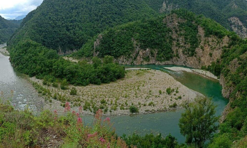 editorpress's tweet image. WWF, un futuro per il fiume Trebbia dlvr.it/T32SpY