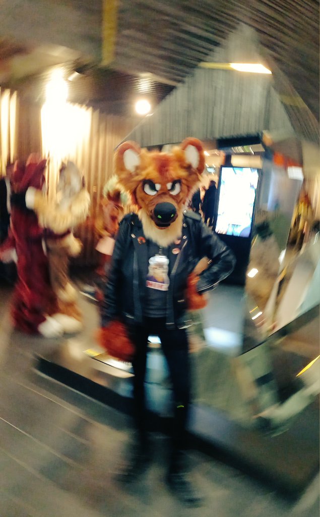 Nik Raccoom tweet media