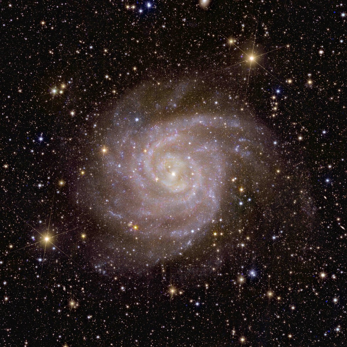 LeidenScience ENG (@leidenscienceen) on Twitter photo 🔎Putting the laws of gravity to the test 💫 That's what <a href="/asilvest78/">AlessandraSilvestri</a> from <a href="/LeidenPhysics/">Leiden Institute of Physics (LION)</a> will do with a €2M ERC Consolidator grant! 👏
With the Euclid telescope, scientists can probe gravity on cosmological scales for the first time!🛰️
👉universiteitleiden.nl/en/news/2024/0… 🔎Putting the laws of gravity to the test 💫 That's what <a href="/asilvest78/">AlessandraSilvestri</a> from <a href="/LeidenPhysics/">Leiden Institute of Physics (LION)</a> will do with a €2M ERC Consolidator grant! 👏
With the Euclid telescope, scientists can probe gravity on cosmological scales for the first time!🛰️
👉universiteitleiden.nl/en/news/2024/0…