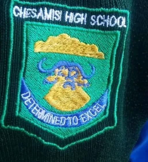 MaxMaeks24668's tweet photo. Great alumnis paste your highschool logo..
Mine 👇👇 #Thebuffalo's🫡 https://t.co/3uJacivsFJ