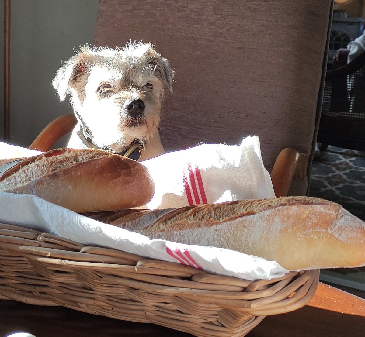 Debora Robertson 🦀 tweet media