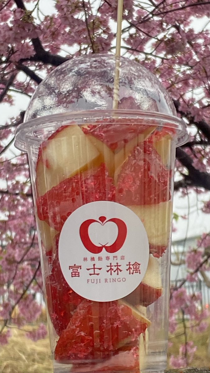 今日、りんご飴買って来た。
美味しかったよ。