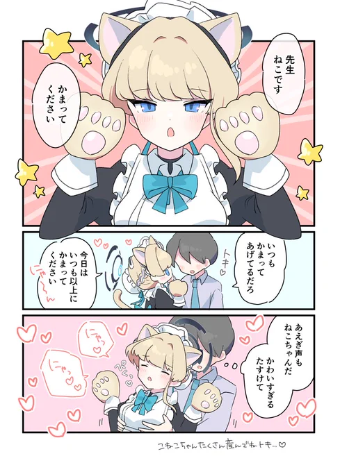 トキ ネコチャン🐱 