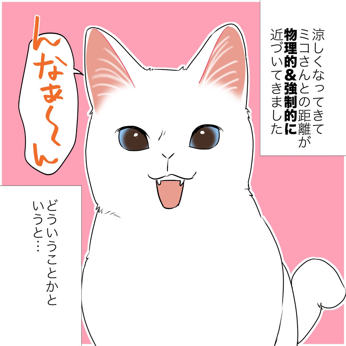 急に寒くなった日の猫の話
(1/2)
#漫画が読めるハッシュタグ
#愛されたがりの白猫ミコさん