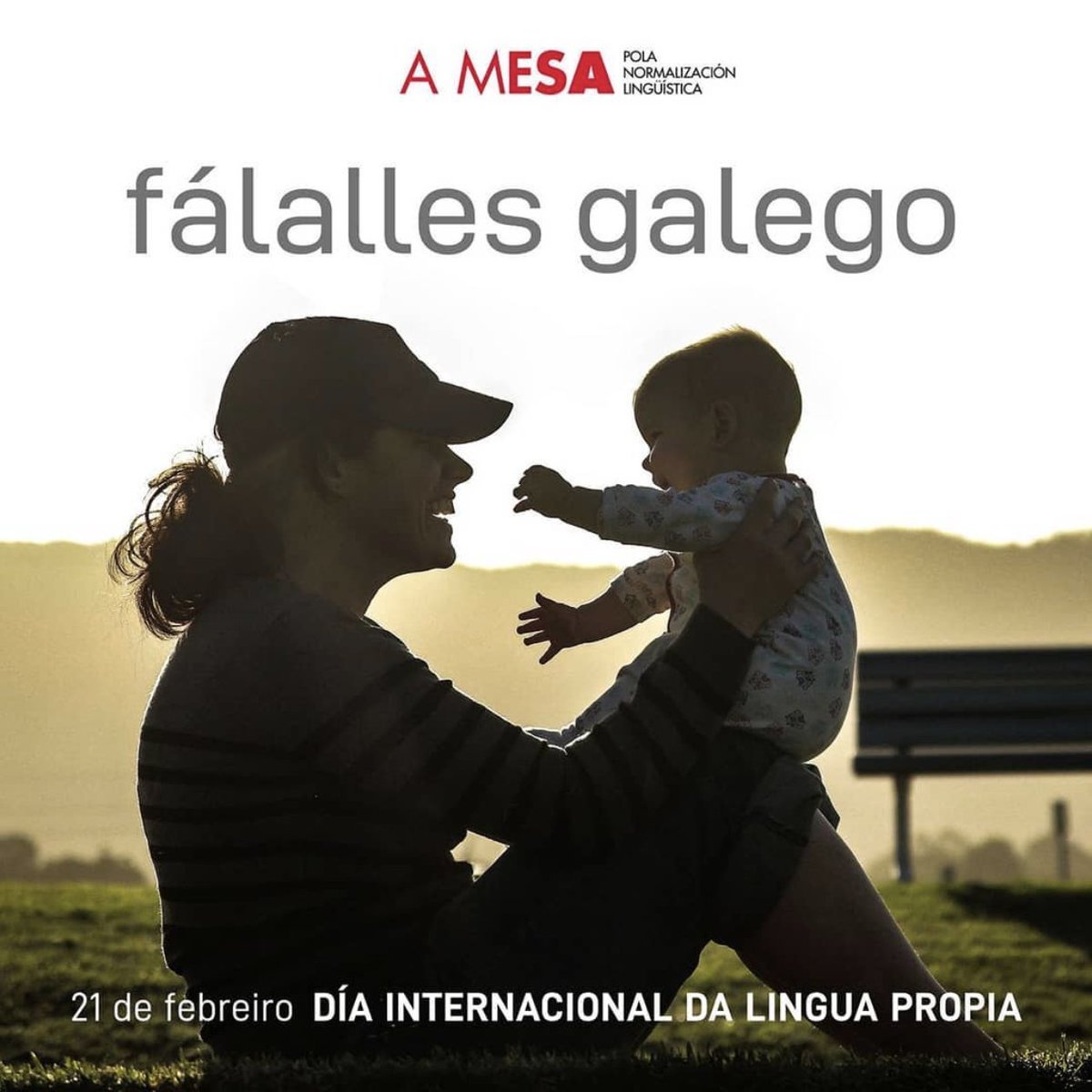 A Mesa Normalización Lingüística tweet media