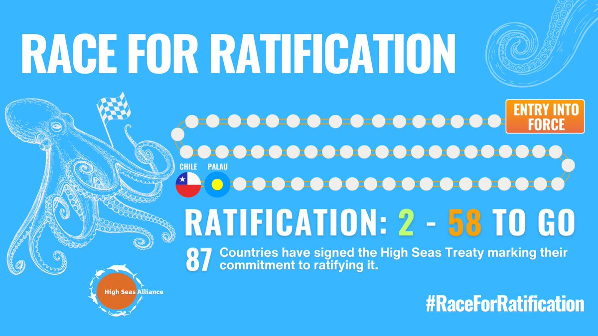 📢 Chile 🇨🇱 has officially ratified the #HighSeasTreaty 🎉 'Chile and Palau's leadership is crucial to turning the tide for ocean conservation.' @Bec_Hubbard We now need 58 more countries to complete the #RaceForRatification. Follow progress: highseasalliance.org/treaty-ratific… #BBNJ