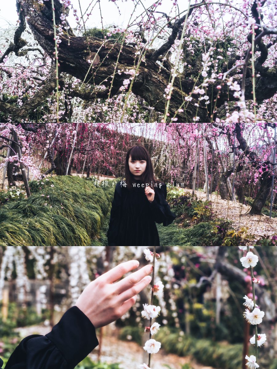Shirousa_uto's tweet photo. - prologue - https://t.co/YfMgaNjpNU