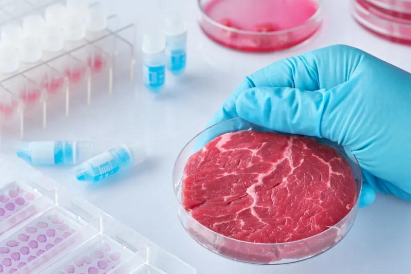 EP_ScienceTech's tweet photo. #Meat grown in a #lab: a sustainable &amp; slaughter-free alternative to conventional meat?

👉Article &amp; interviews w/ experts @cazamazac &amp; Mark Post @MaastrichtU @mosa_meat: https://t.co/WANzDE7a6R

#EUFarm2Fork #FoodSecurity @samgregman 
@juozas_olekas @miapetrakumpula #Farm2Fork https://t.co/SS3OKXEVeI