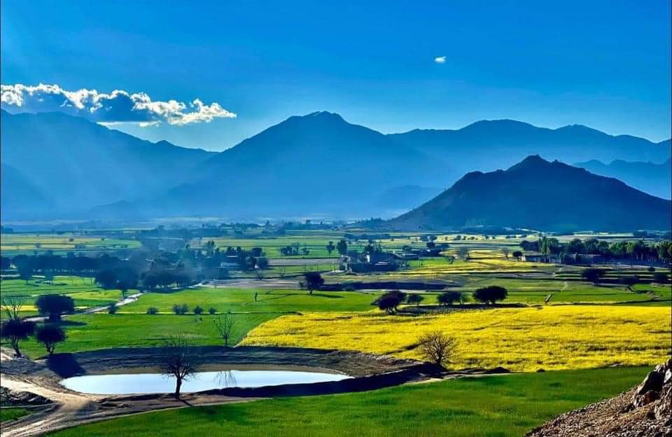 AliSaee29808138's tweet photo. Bajaur https://t.co/IkizRYJeEX