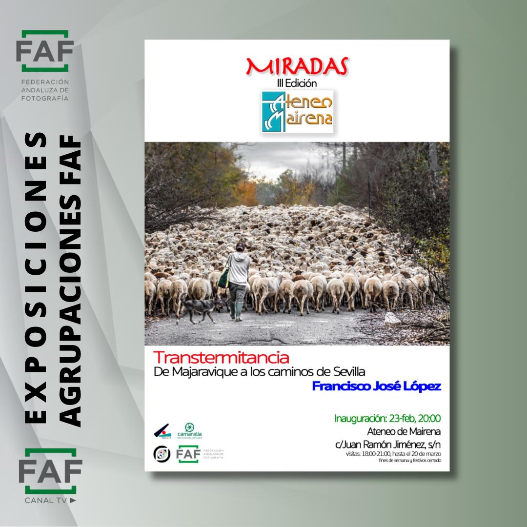 FRANJLF63's tweet photo. Viernes 23 de febrero 20:00 inauguración
Premio Miradas 3 @ateneodemairena
Transtermitancia, de Majarabique a los caminos de Sevilla
@FAF_fotografia 
@CEFOTO_ES 
@AF_Objetivo2_0 
https://t.co/aI6Pg2YmCC https://t.co/4qLkX07Y5j