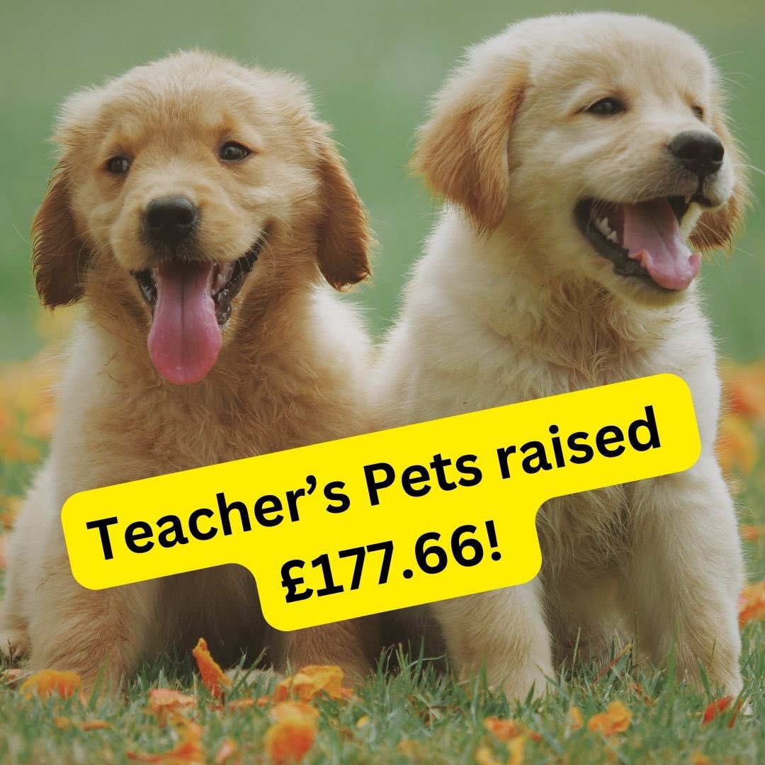 Mrs Williams’ Teacher’s Pets challenge raised a wonderful £177.66! Thanks to everyone who took part ⭐️