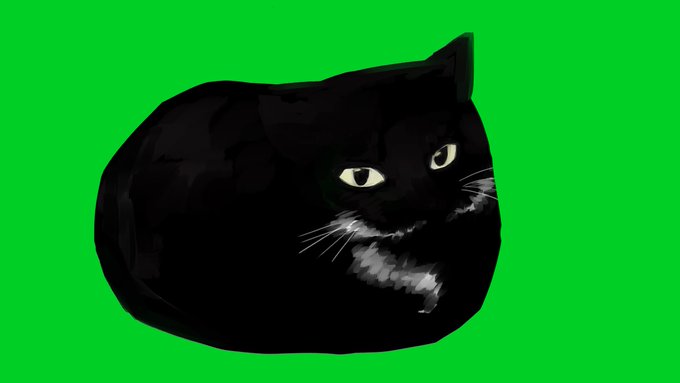 「black cat whiskers」 illustration images(Latest)