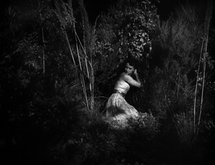 𝐂𝐢𝐧𝐞𝐦𝐚 𝐀𝐧𝐝 𝐌𝐢𝐬𝐝𝐞𝐦𝐞𝐚𝐧𝐨𝐫𝐬 tweet media