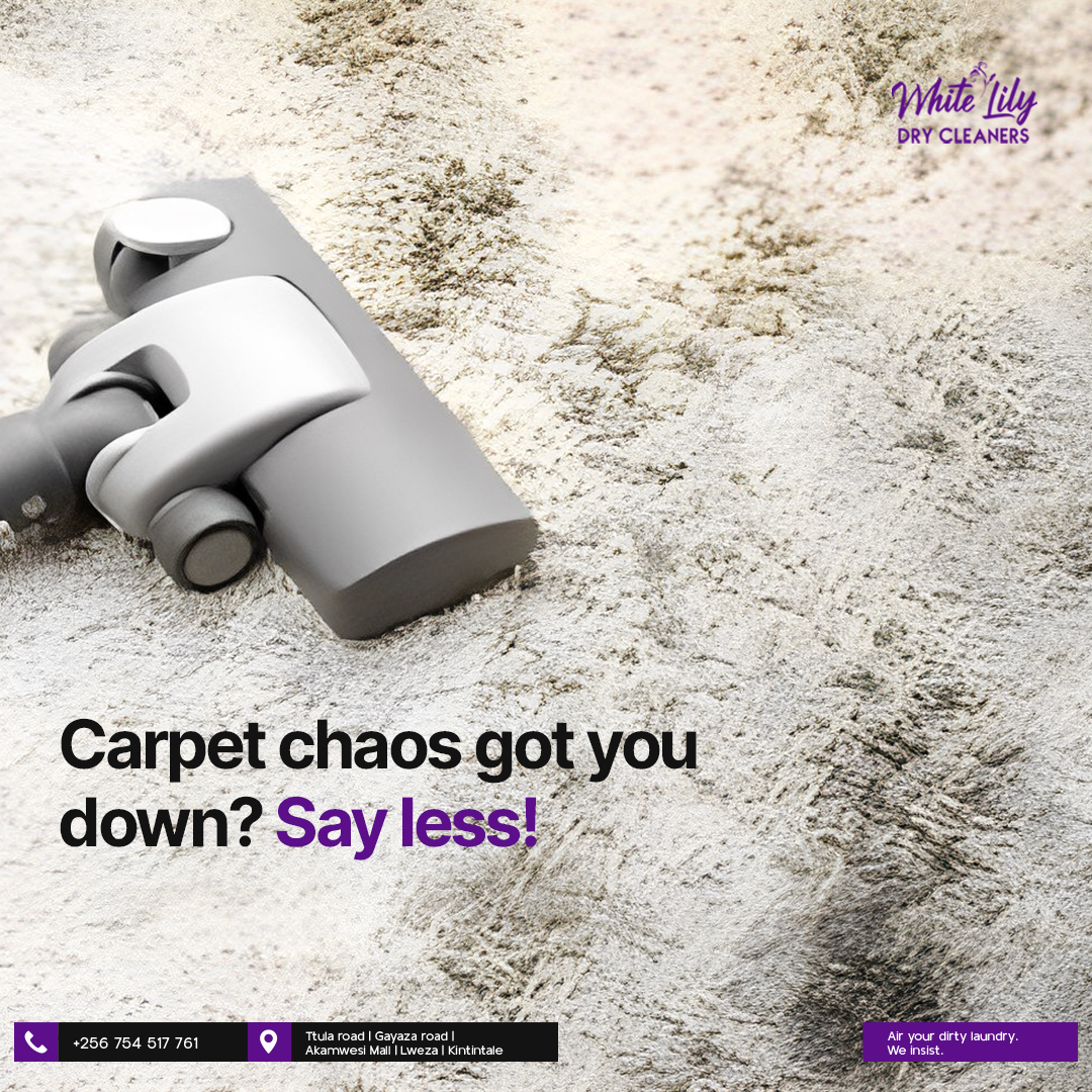 LilyCleaners's tweet photo. No stain too tough, no grime too daunting. White Lily's deep-cleaning process restores carpets to their pristine glory.

Our carpet cleaning magic is guaranteed to banish stains and dust bunnies alike!

📞Call us on +256 754 517 761
#WhiteLilyDryCleaners #DryCleaners https://t.co/C0qrJWQKAt