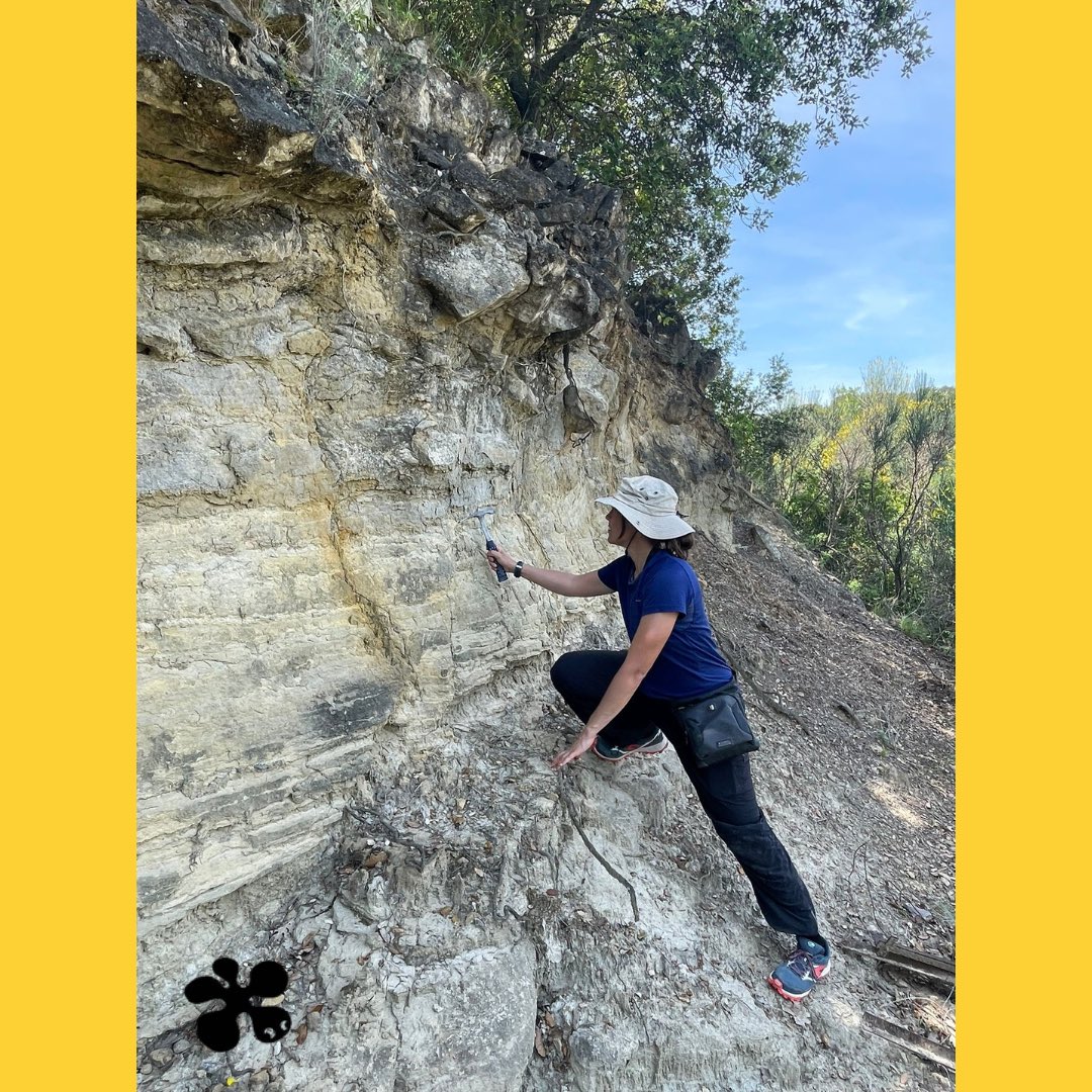 IRBioUB's tweet photo. 🗞️#NoticiaIRBio “Els canvis climàtics van transformar radicalment els ecosistemes europeus durant la transició Eocè-Oligocè”🌍

La investigació liderada per la Dra. Tosal, del IRBio i @UniBarcelona està il·luminant els secrets del canvi climàtic europeu fa milions d'anys. 🌿🧵 https://t.co/8fzlJU1hrs