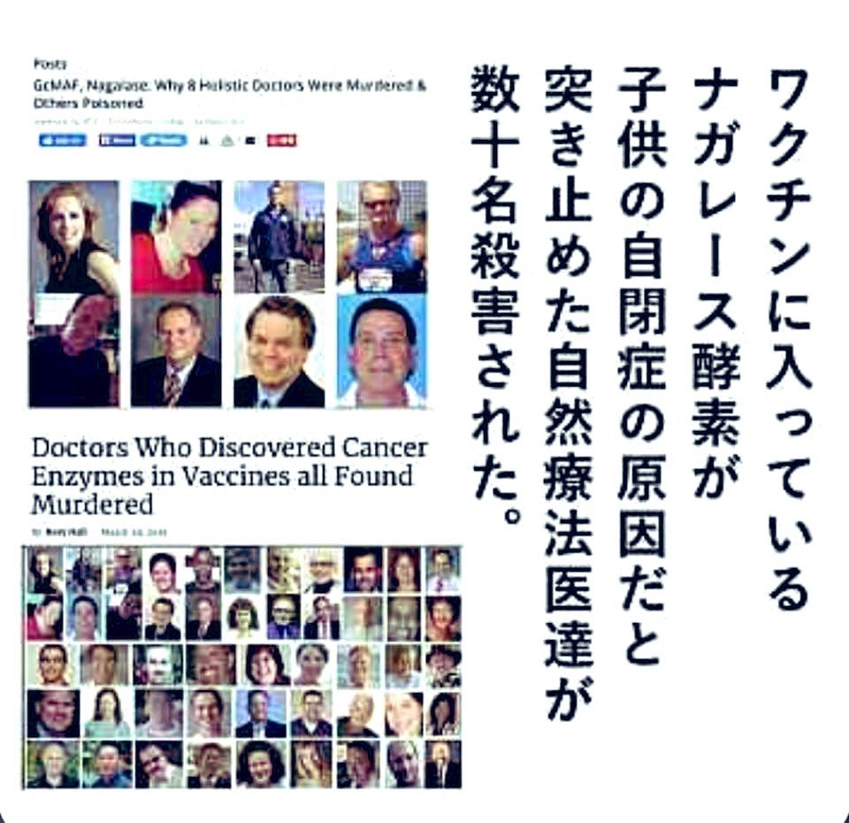 kiyokakei's tweet photo. ワクチンとは、GHQがナチスのアウシュビッツで使われていた薬や、731部隊が使っていた薬を使ってワクチン薬を製造させた

アメリカの乳業メーカーに母子手帳を作らせて、日本の子どもたちの成長を阻害するために置いて行った『負の遺産』

日本は子どもの自閉症と発達障害が増えていることを知って下さい
アメリカのCDCは母子手帳ワクチン成分のナガレース（塩化アルミニウム）が影響していることを認め、母子手帳を廃止しています🚨