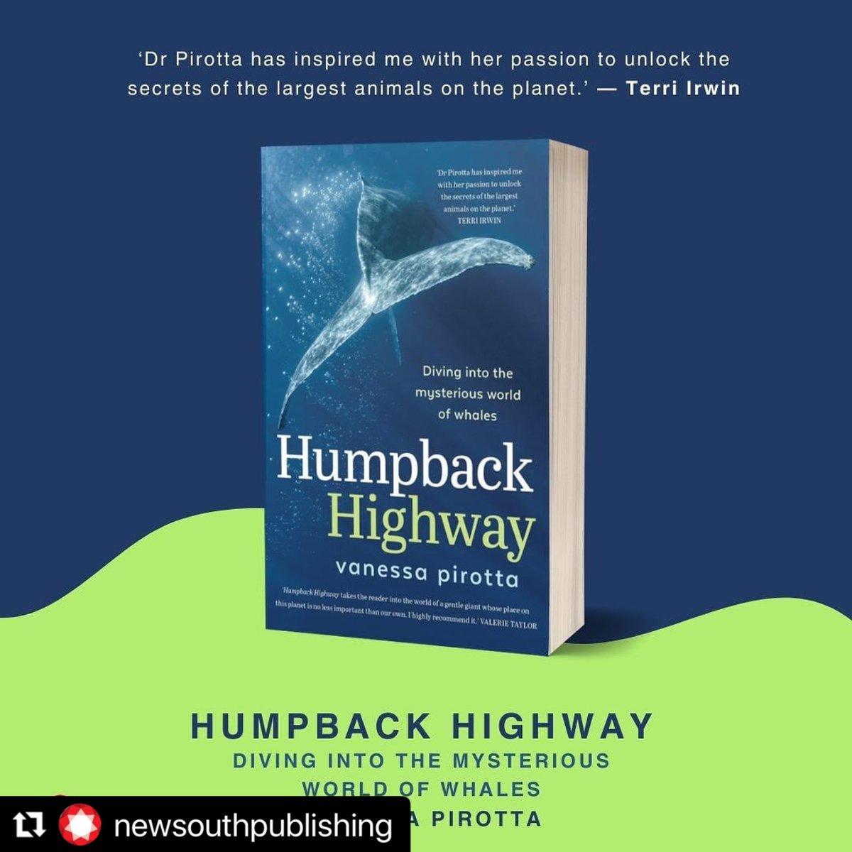HERE IT IS! I’m yet to hold my book but I’m already so excited. A very special project with some AMAZING supporters of my work 🙏 (I’ll be announcing these shortly). Pre-order now via your local bookshop or here: unsw.press/books/humpback… #humpbackhighway #whaleon
