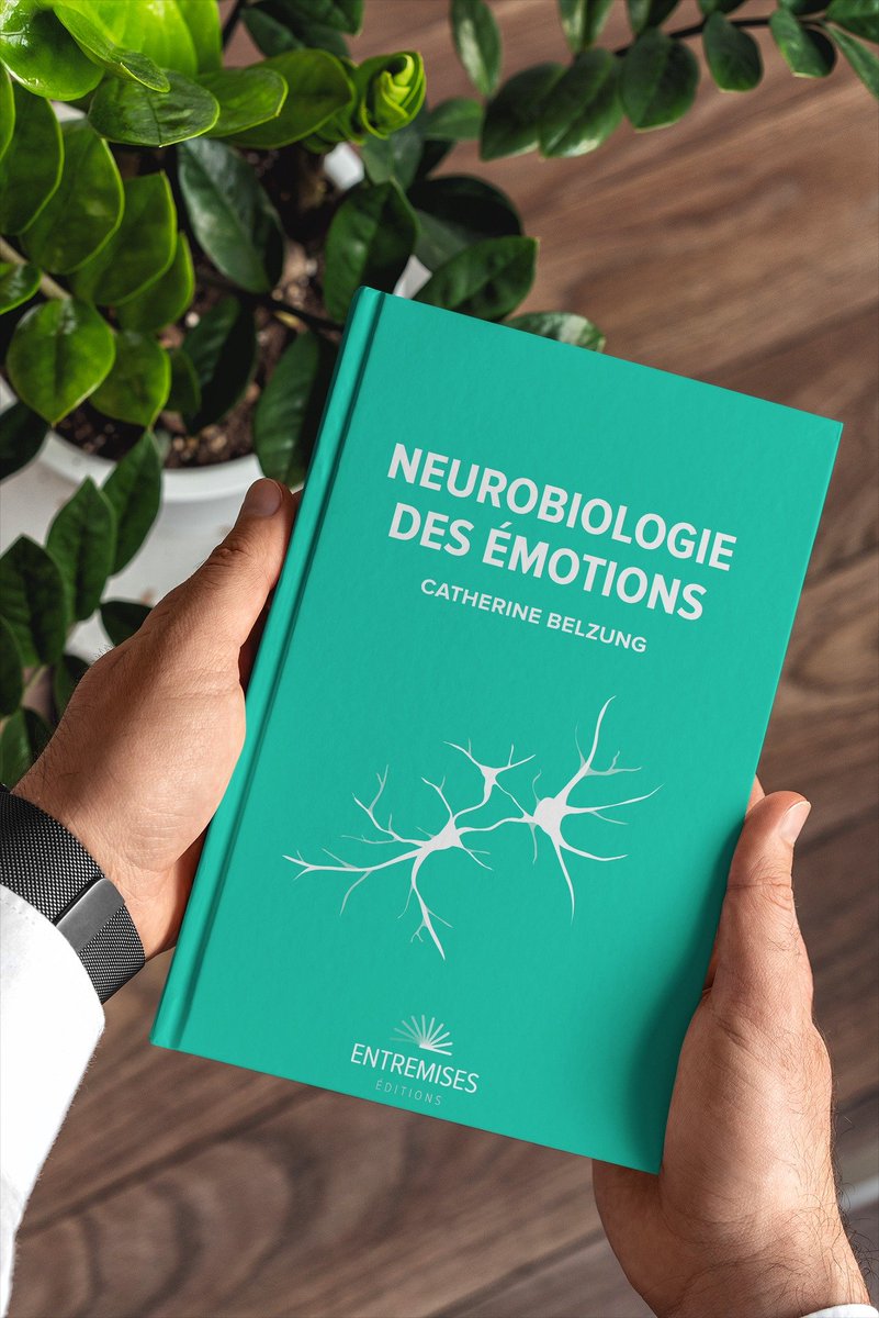 Entremises Editions (ex Uppr Editions) tweet media