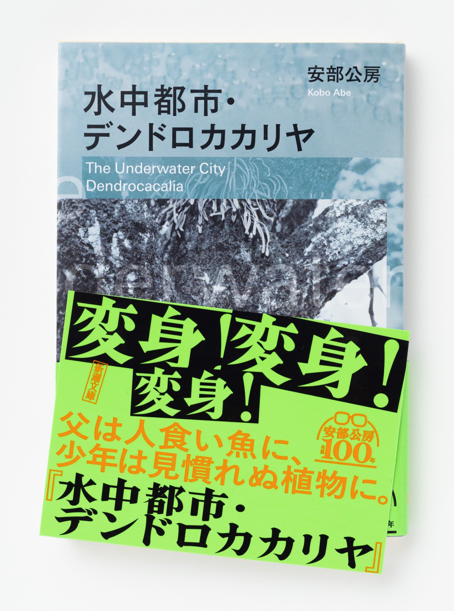 奇譚蒐集録: 弔い少女の鎮魂歌 (新潮文庫nex) | 清水 朔 |本