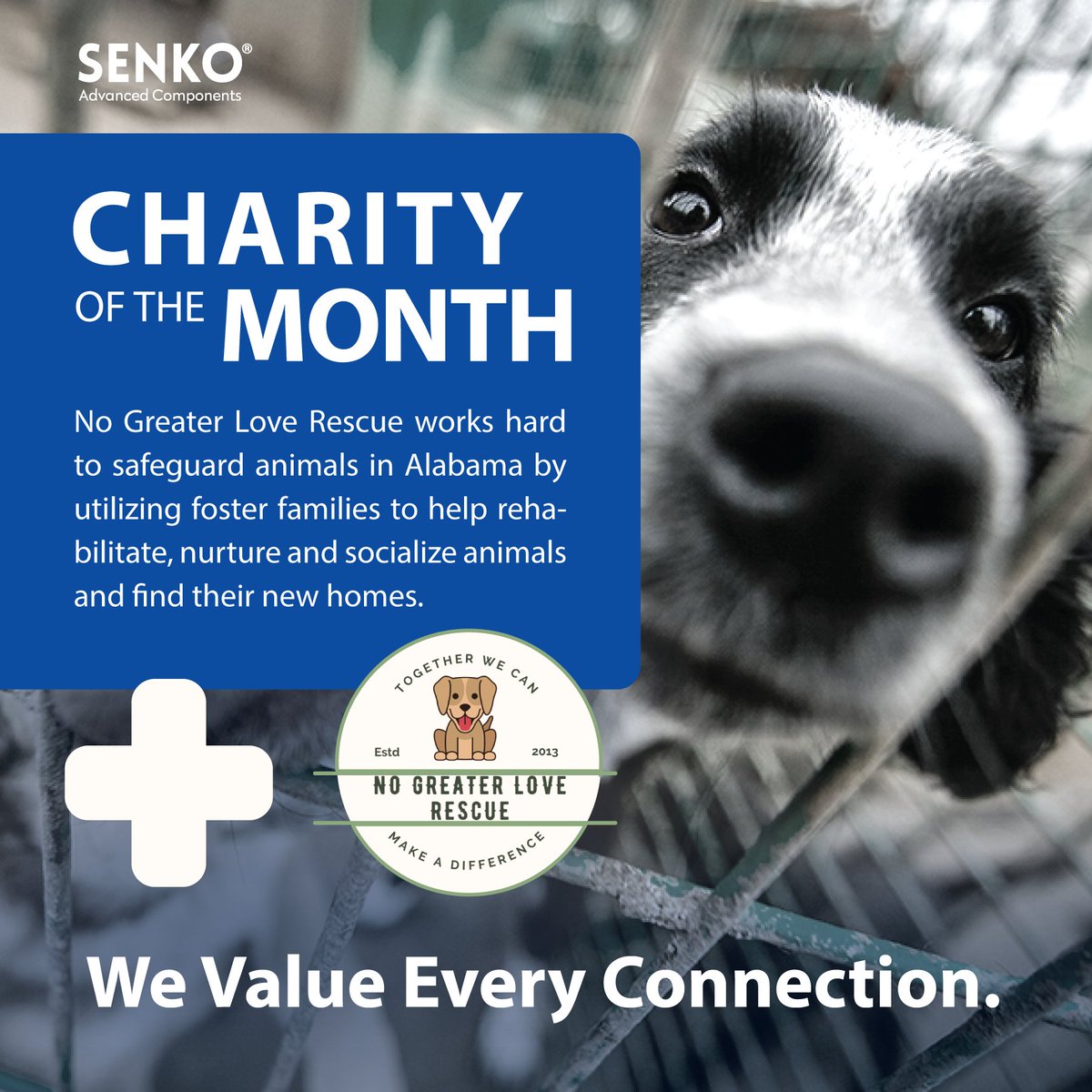 Senko Advanced Components (@senkoconnect) on Twitter photo 𝗦𝘂𝗽𝗽𝗼𝗿𝘁𝗶𝗻𝗴 𝗡𝗼 𝗚𝗿𝗲𝗮𝘁𝗲𝗿 𝗟𝗼𝘃𝗲 𝗔𝗻𝗶𝗺𝗮𝗹 𝗥𝗲𝘀𝗰𝘂𝗲
This month, we’re proud to stand alongside <a href="/No/">no</a> Greater Love Animal Rescue, a non-profit organization dedicated to rescuing and caring for animals in need.
nogreaterloverescue.com
#SENKO 𝗦𝘂𝗽𝗽𝗼𝗿𝘁𝗶𝗻𝗴 𝗡𝗼 𝗚𝗿𝗲𝗮𝘁𝗲𝗿 𝗟𝗼𝘃𝗲 𝗔𝗻𝗶𝗺𝗮𝗹 𝗥𝗲𝘀𝗰𝘂𝗲
This month, we’re proud to stand alongside <a href="/No/">no</a> Greater Love Animal Rescue, a non-profit organization dedicated to rescuing and caring for animals in need.
nogreaterloverescue.com
#SENKO