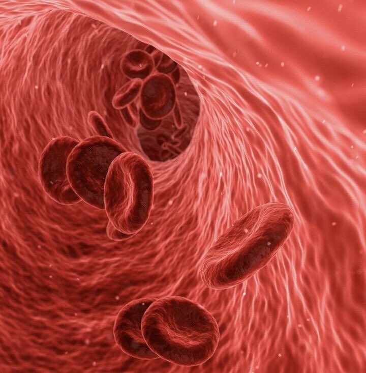 Peyton Elroy tweet media