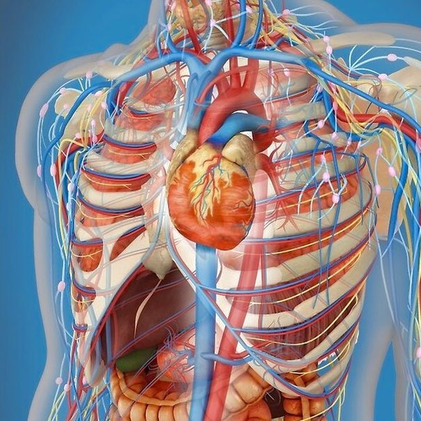 Peyton Elroy tweet media