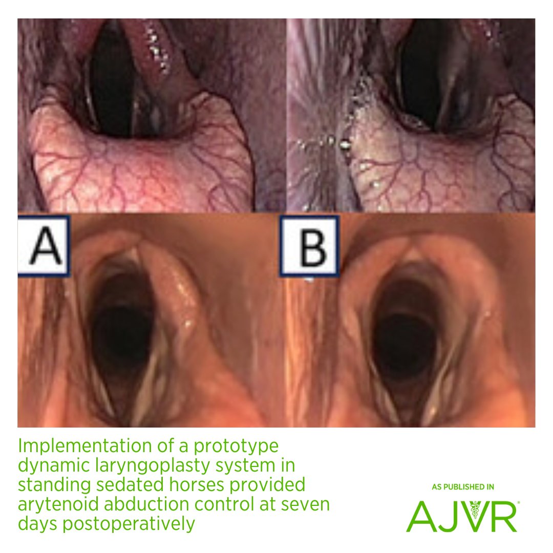 AJVROA's tweet image. A prototype dynamic laryngoplasty system allowed for effective controllable alteration in arytenoid abduction at 7 days postoperatively. 🐴 Full article: jav.ma/dlps @pennvet #equine #larynx #surgery