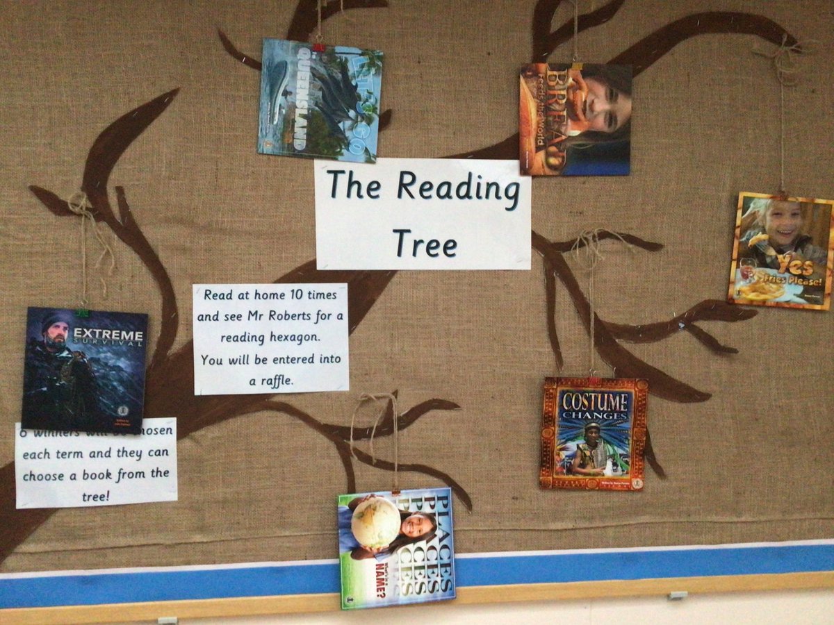 CaythorpeSchool's tweet photo. The #readingtree has been filled again ready for this term’s reading winners! Some great #nonfictionbooks this term! @CITacademies #nurturinghearts #inspiringminds https://t.co/69LmKcKkIv