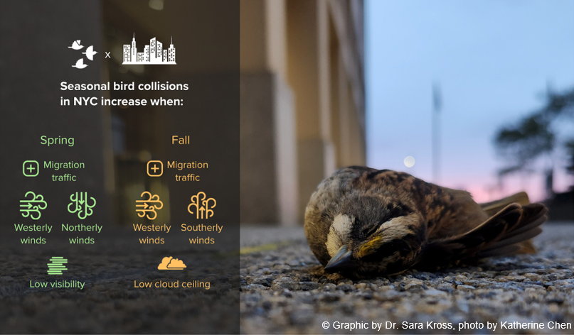 Journal of Applied Ecology tweet media