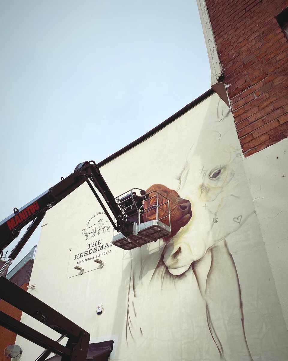 Studio Response / Stwdio Ymateb tweet media