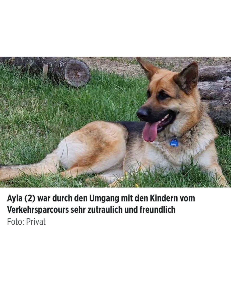 Anabel Schunke tweet media