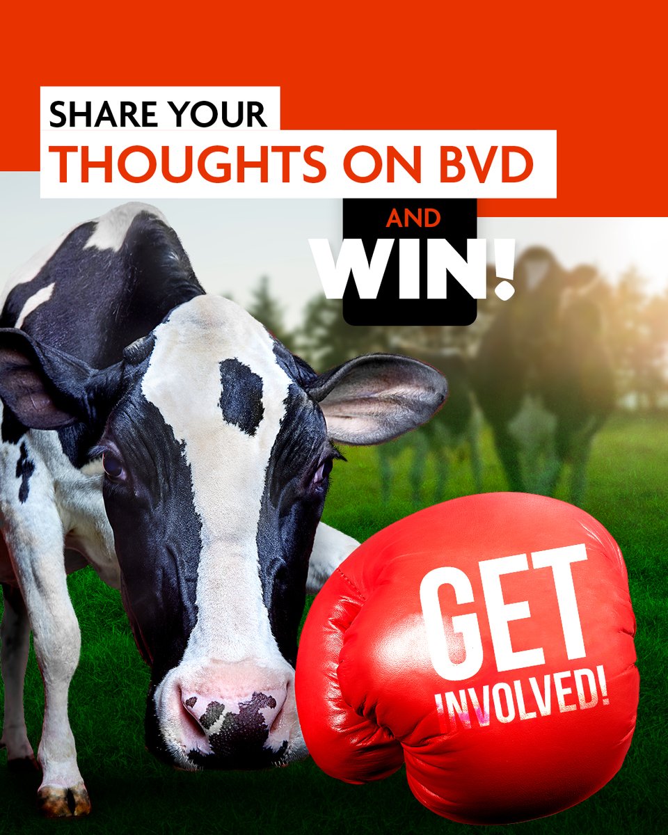 HELP @Boehringer Ingelheim MAKE BVD HISTORY Share your views with us and you’ll have a chance of winning a set of Beats Studio Wireless Earbuds!* Take part here - National BVD Survey 2024 (farmmetrics.net)