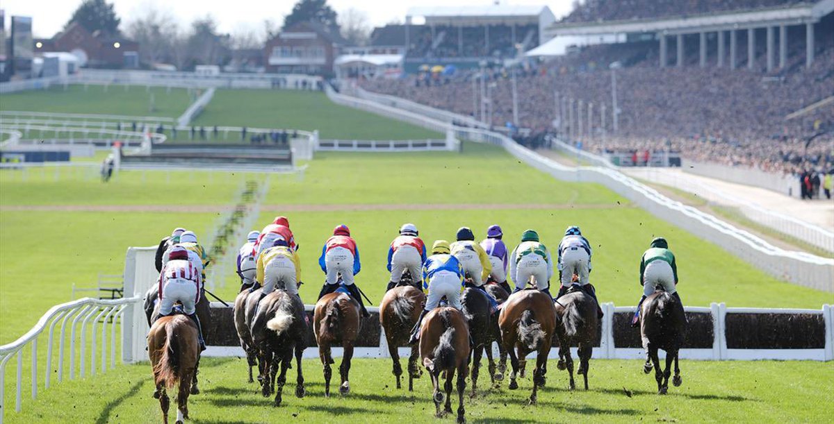 Racing_Tipster7's tweet photo. THIS IS OUR NEW ACCOUNT ALL 🙌

Gutted we had to create a new one but our old one had a shadow ban.

Nothing changes, just a new account, same BOOMING winners 💸

DROP US A FOLLOW 🥳

CHELTENHAM FESTIVAL FAST APPROACHING 🐎

Please like and retweet to help us get going again 🤝 https://t.co/o1Ltkc9UJQ