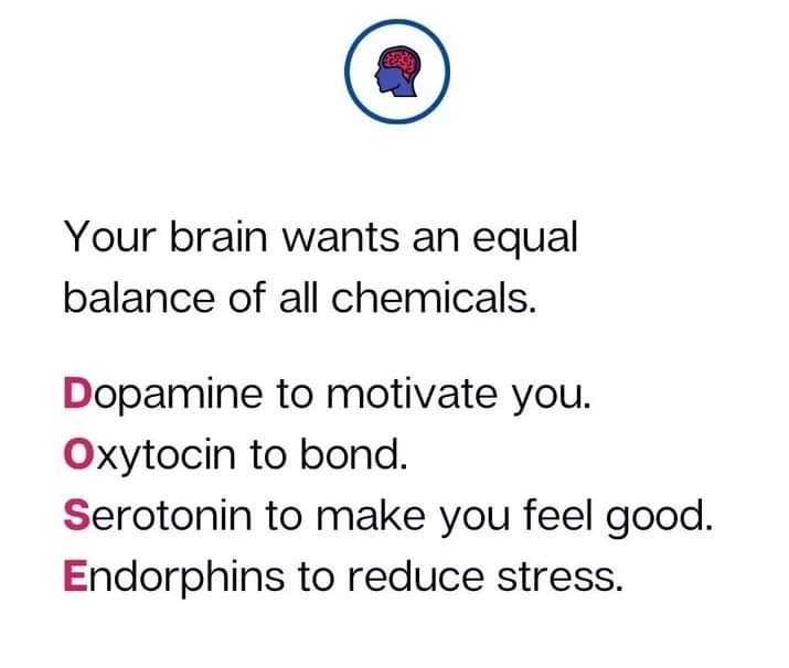 Your brain needs to have this #Dose to function at its full capacity.

#MindMatters over everything else, even heart needs to know that.

#BrainHealth #BrainFunction 
#MentalHealthMatters