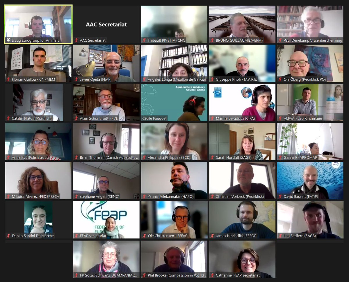aac_europe's tweet photo. A short but intense Horizontal Working Group meeting today! #DGMAREUpdates, @EUauditors report, @EU_ENV #IAS presentation - #BlueCrab , #ConsumerInformation in #HORECA , #MSFD , #Research , #Organic , #Algea, #WaterQuality... Working hard for EU #aquaculture sustainable growth! https://t.co/Q1nVP36rg4