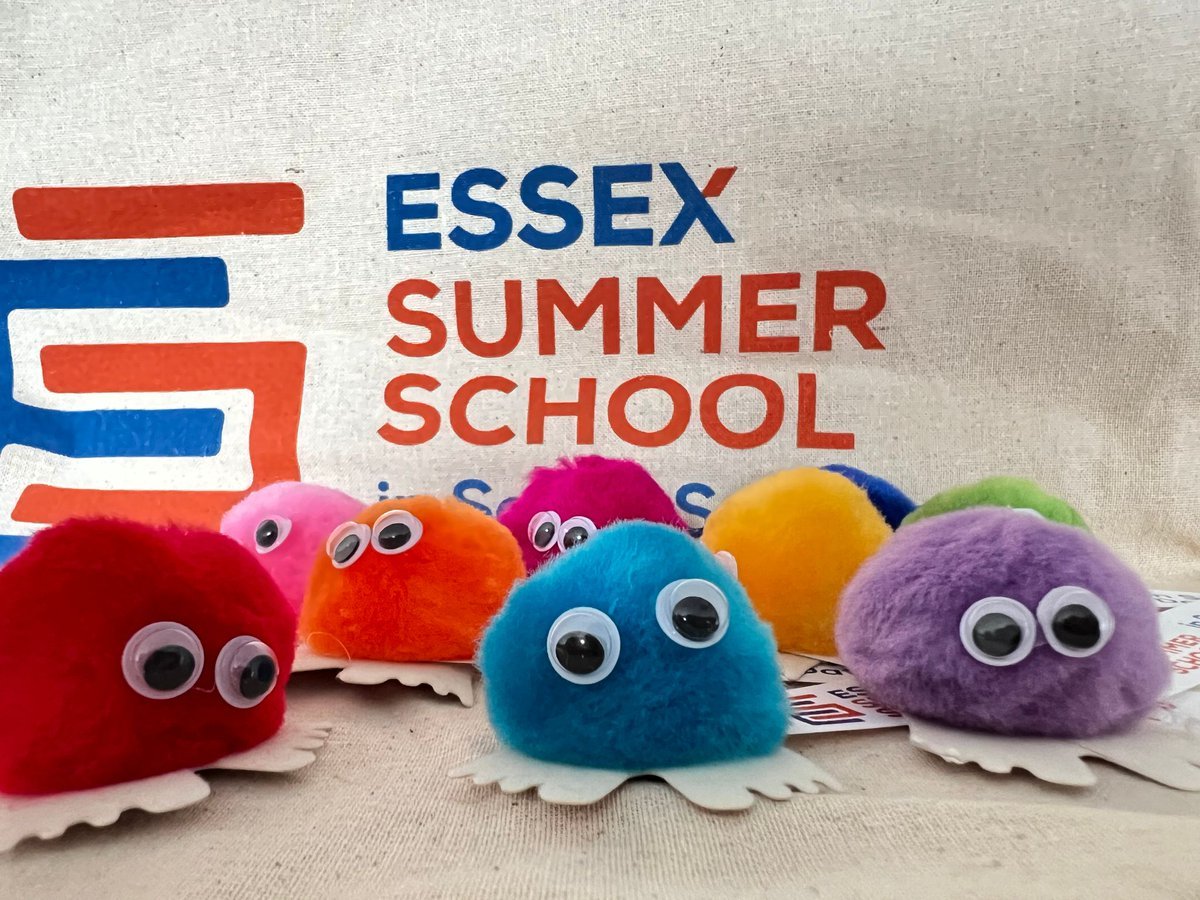 Only a few more days until applications for the 2024 Essex Summer School open. We're looking forward to another great summer school! @EssexSumSchool #ESS2024 #BestNerdySummerCamp #WeAreEssex