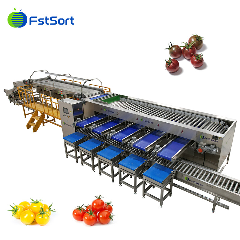 FruitprocessI's tweet photo. 🔥🔥🔥Cherry tomato processing machine

Sorting handle every cherry tomato with the utmost gentleness, without causing any damage to the quality of the skin or the pulp.🍅
Get price service@fruitprocess.com
Learn more: https://t.co/84HhXQlkc0

#fstsort #sortingcherrytomato https://t.co/EeygpoPnTw